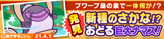 プワープ島の泉で一体何が！？発見 新種のさかな！？おどる巨大ナマズ！