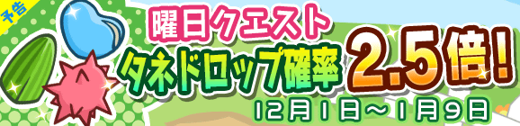 【予告】曜日クエストタネドロップ確率2.5倍キャンペーン開催のお知らせ